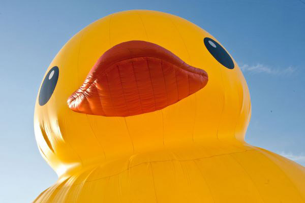 Floating Duck in Hasselt by Florentijn Hofman